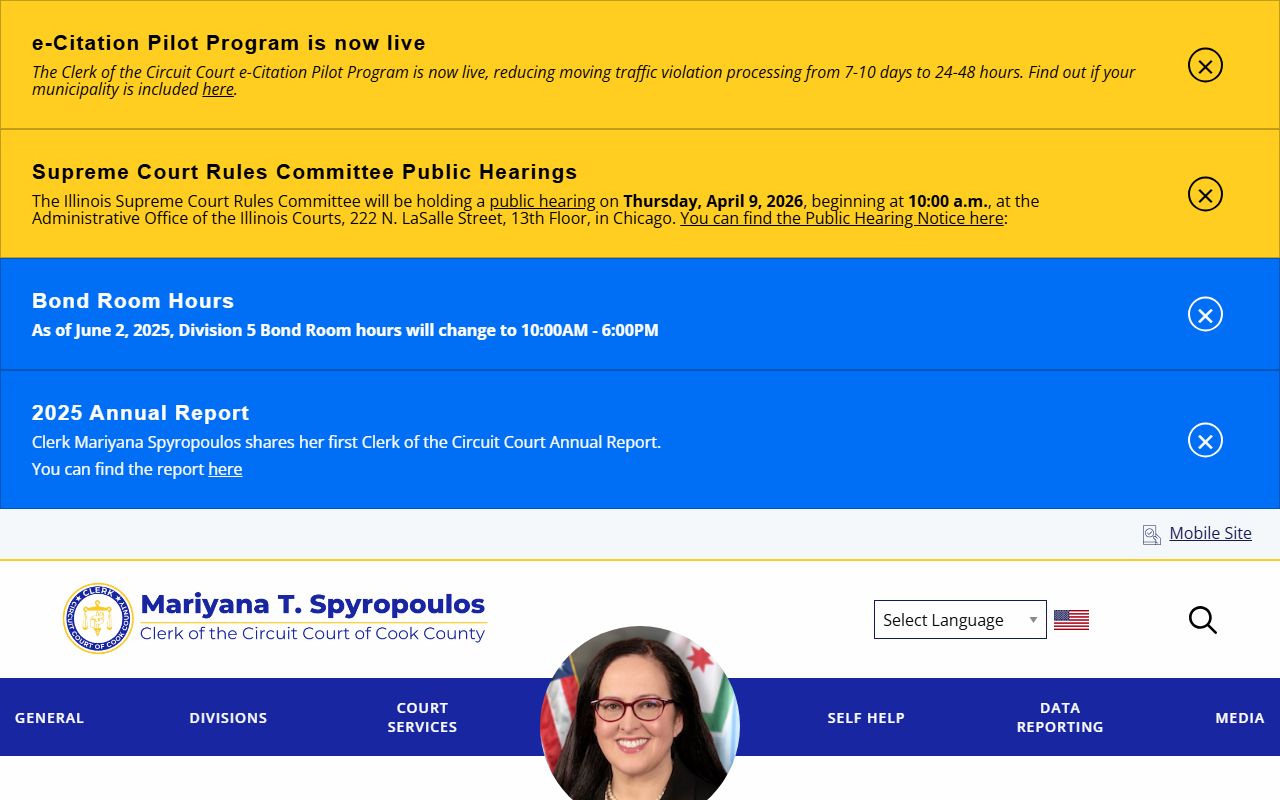 Cook County Criminal Department page for background check record access
